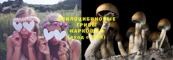 mdpv Арсеньев