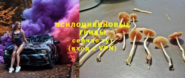 стафф Аркадак
