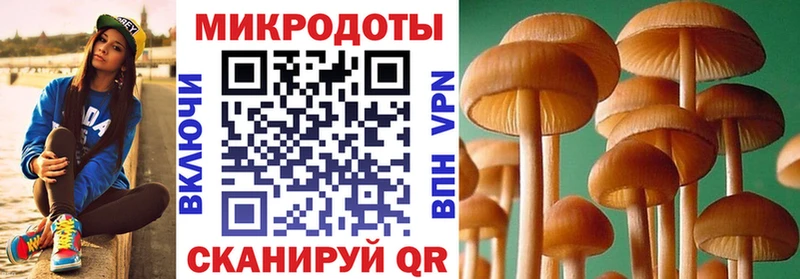 Купить где  Нея  Галлюциногенные грибы GOLDEN TEACHER 